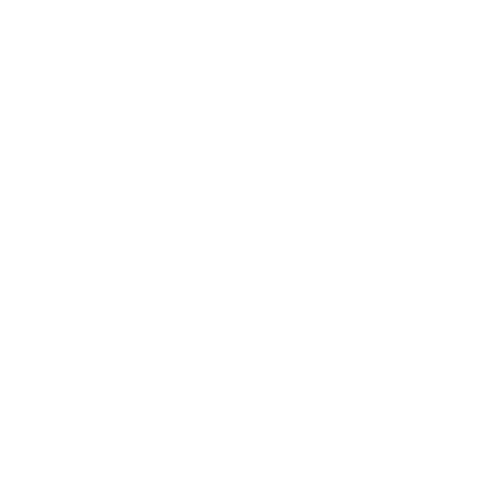 The Living Nomad logo